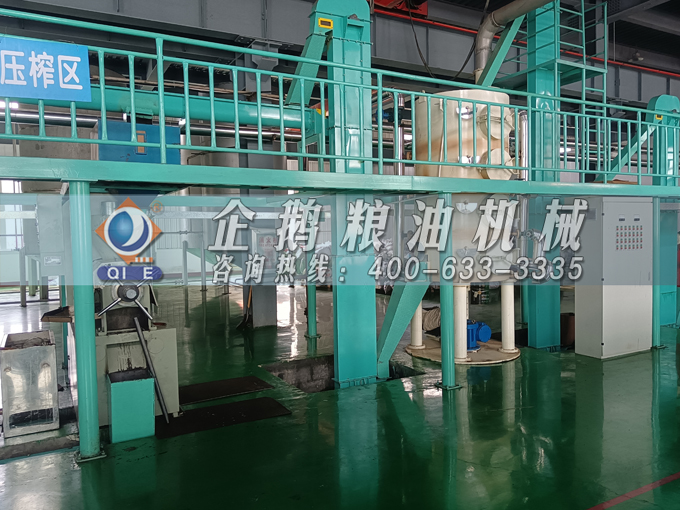 企鵝牌茶籽油雙螺桿榨油機，用心制造獲得客戶認可(圖3)