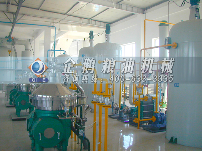 如何投資建設(shè)棕櫚油加工廠？企鵝糧油機械在線為您答疑解惑(圖2)