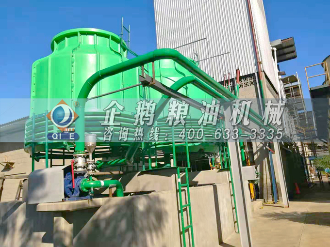 如何投資建設(shè)棕櫚油加工廠？企鵝糧油機械在線為您答疑解惑(圖3)